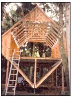 Framework for the Thunderhouse low impact home.